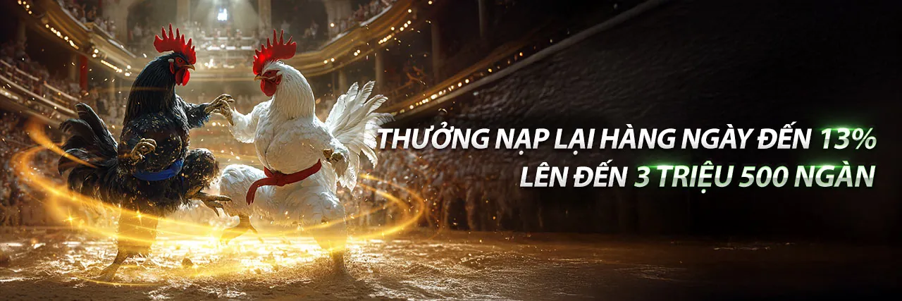 Đá gà trực tuyến kkwwin hiện đang mở